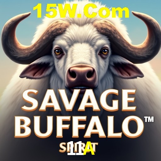 Descubra o Programa VIP da 11A: Vantagens Exclusivas para Jogadores